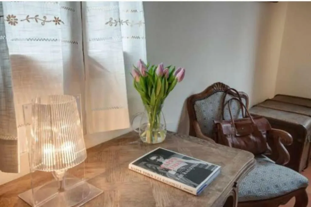 Cozy Rooftop On Arno River Apartment Florence 0*,